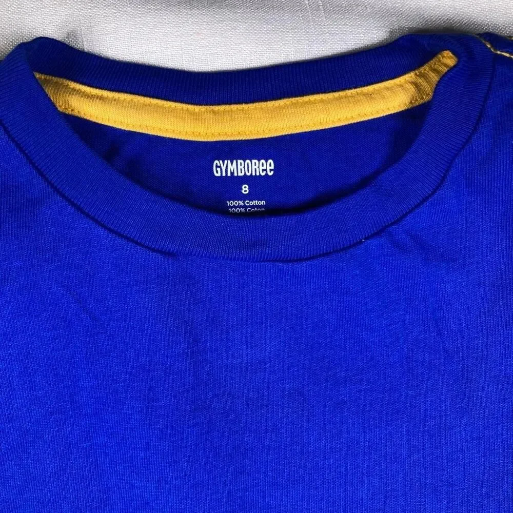Gymboree boys Blue T-shirt